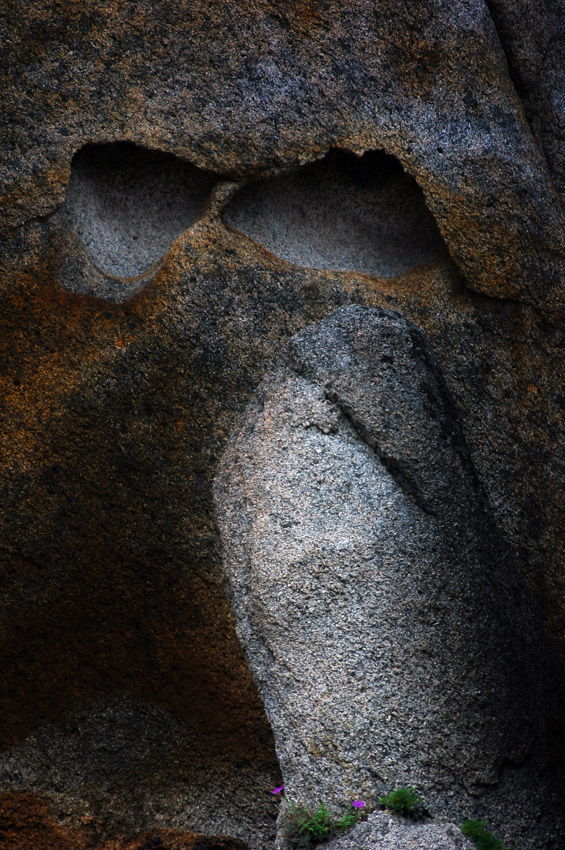 ароматы лета