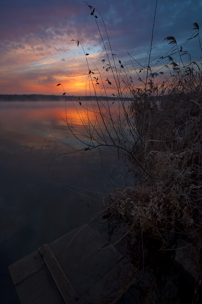 Осень. Поздняя осень.