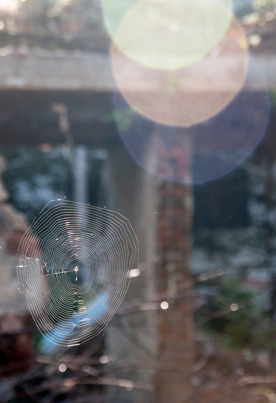 утро в руинах