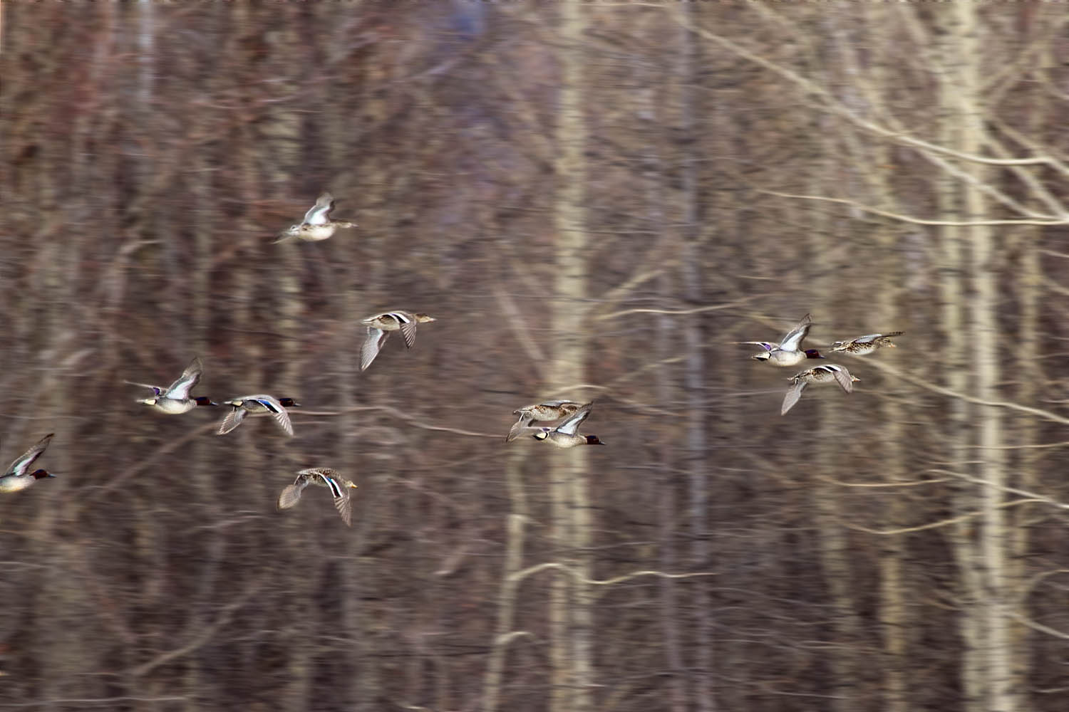Летят утки...