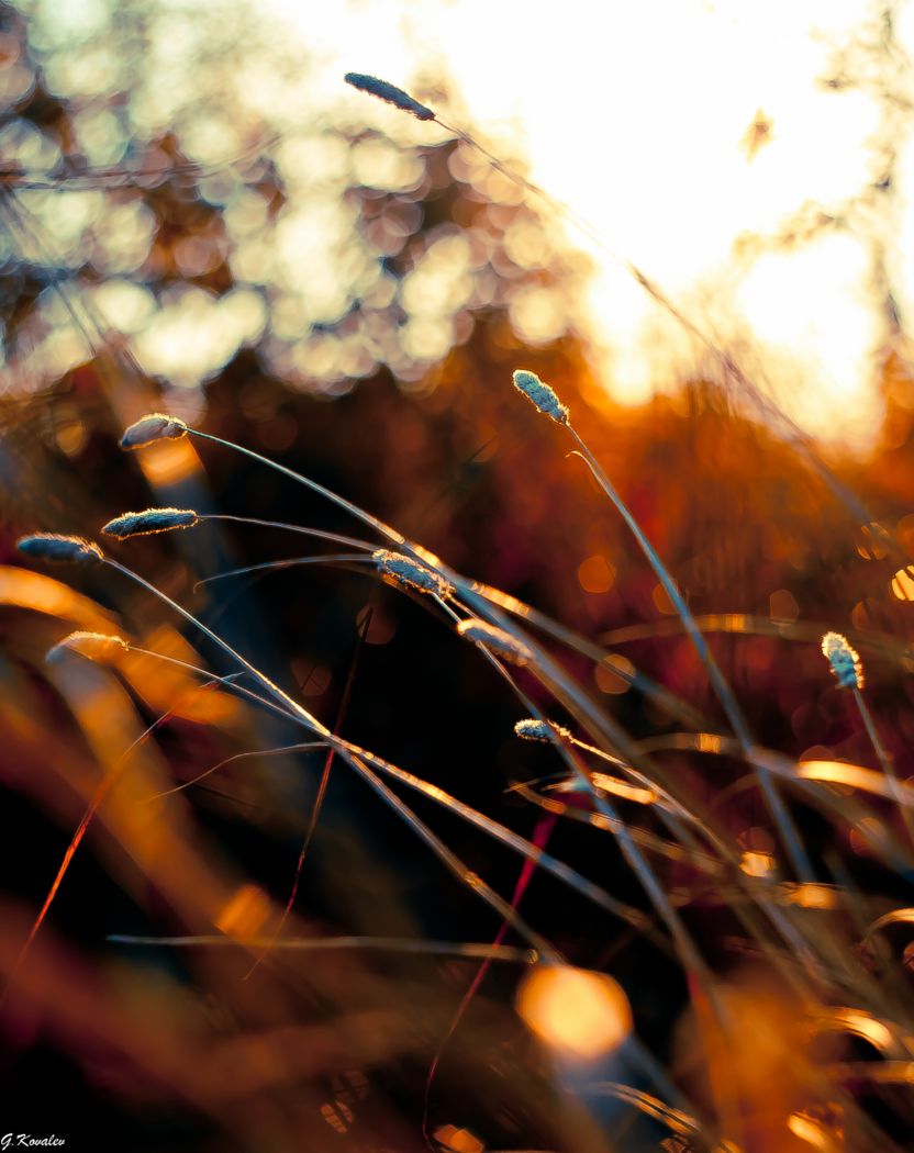 В объятиях утра...