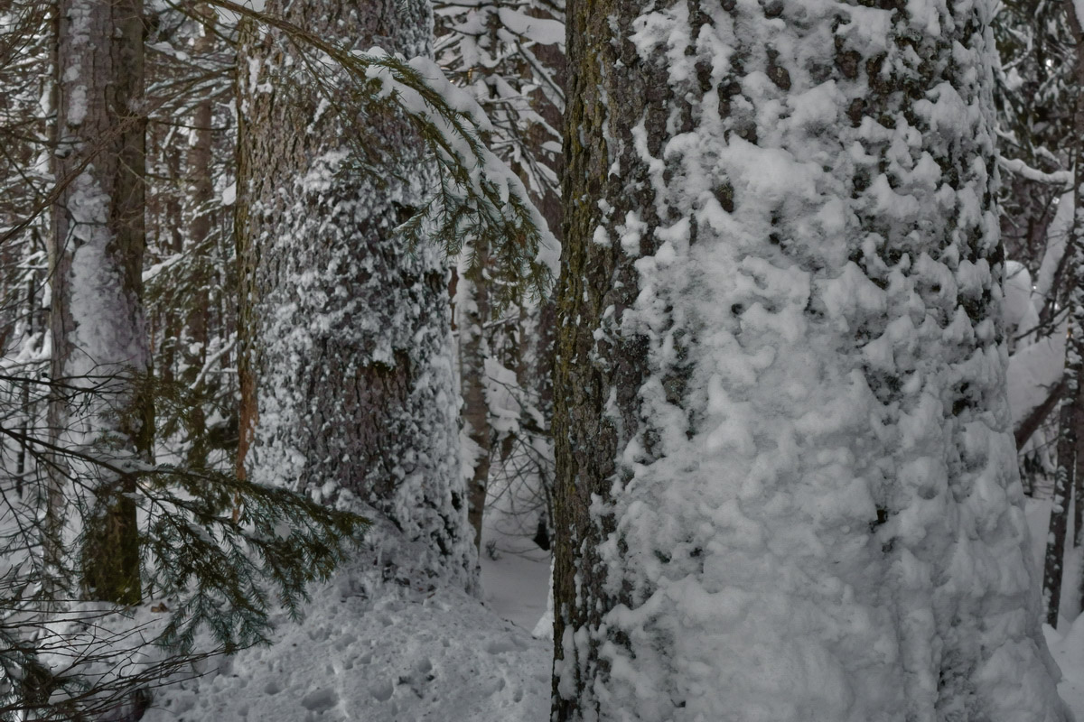 Сахалинские пейзажи