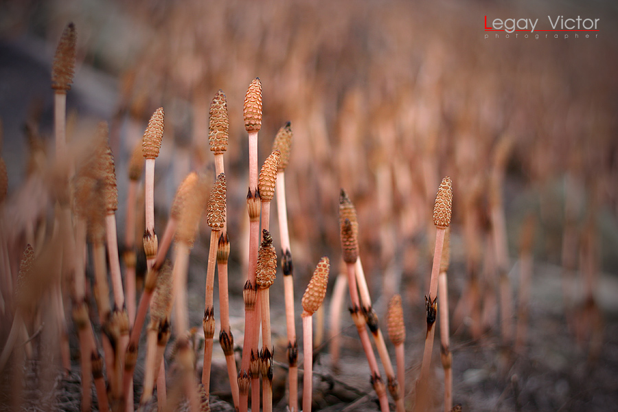 пробуждение