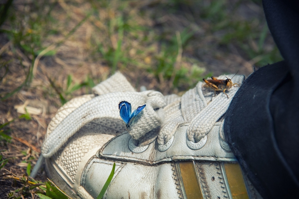 ближе к природе