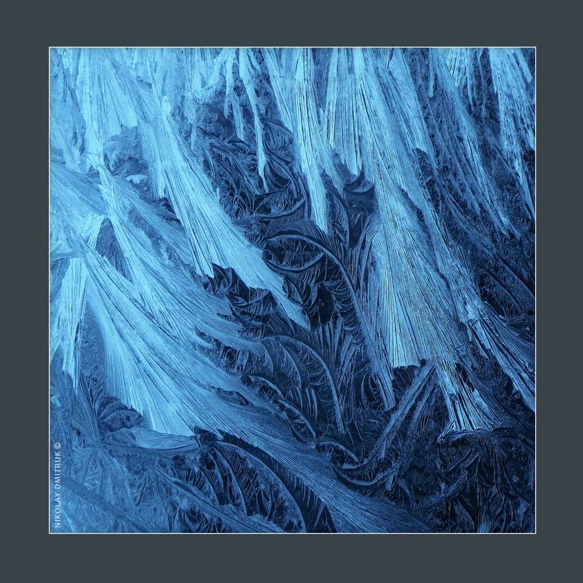 Чеширский лес