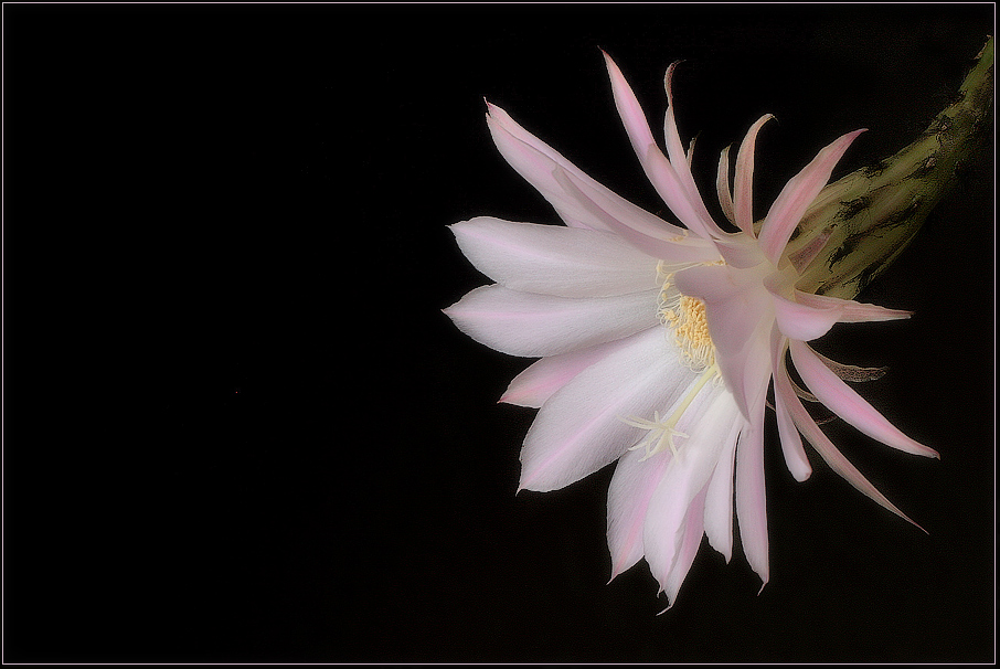 22 часа жизни