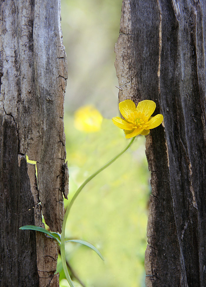 весна, однако!