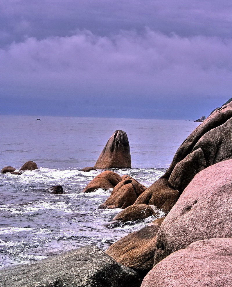 Голова кита