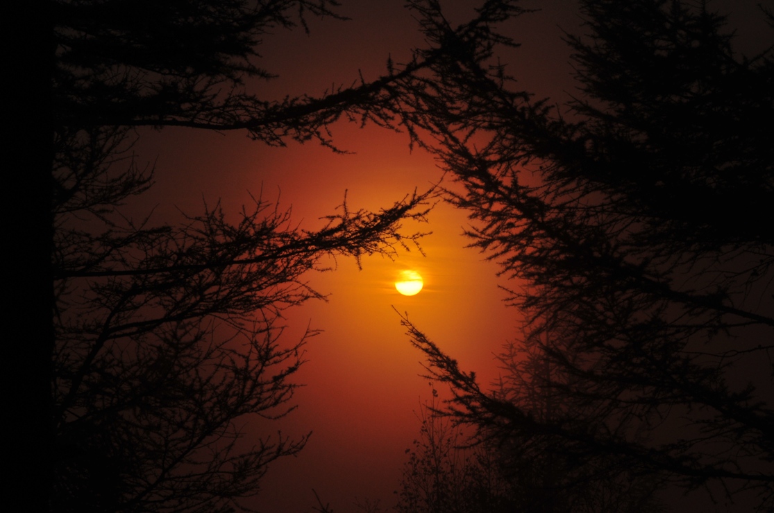 Закат в тайге