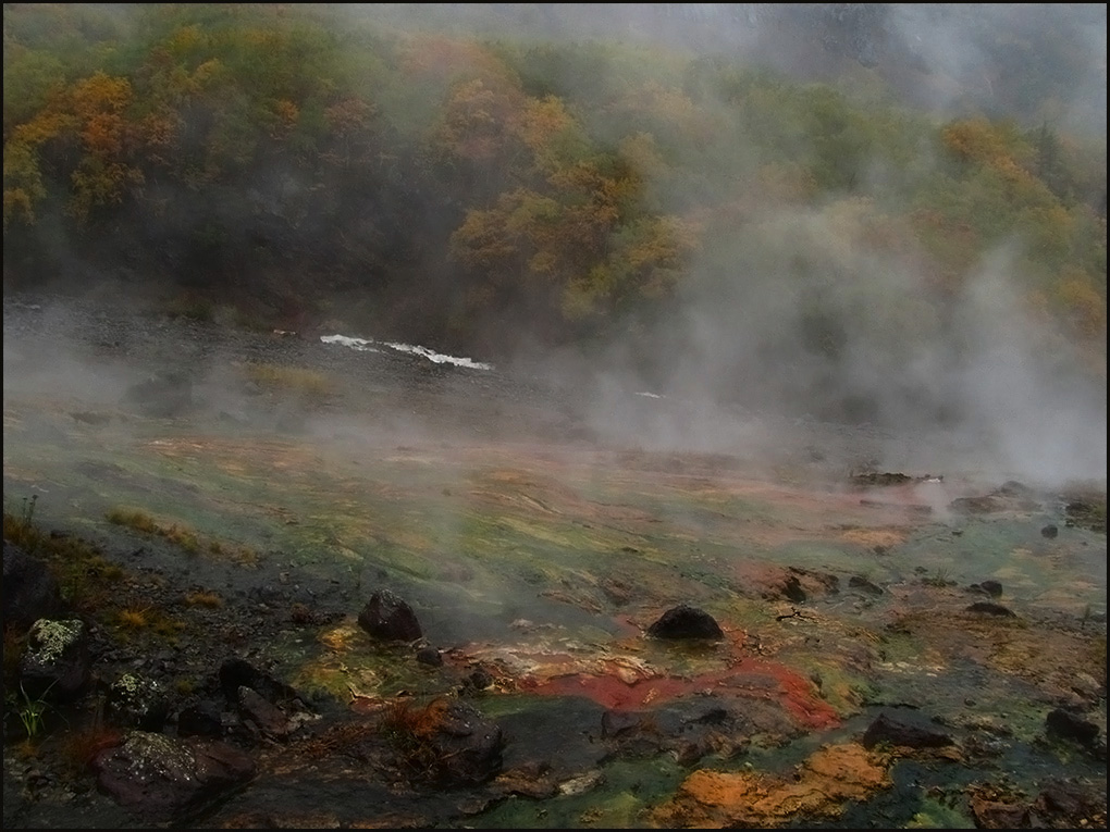 Палитра осени