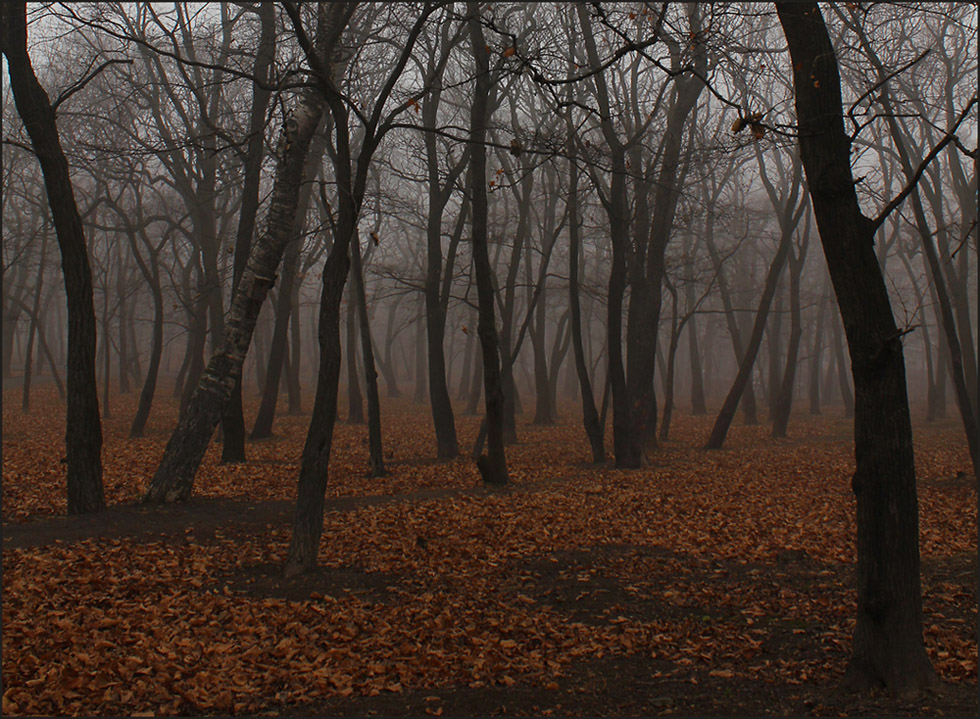 Краски ноября