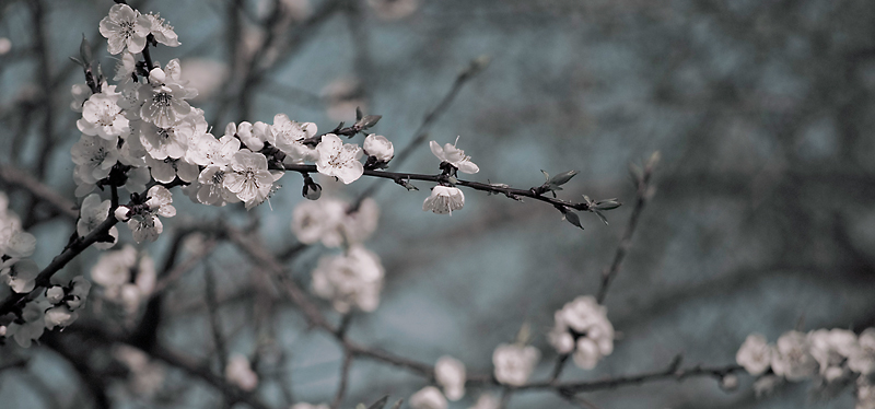 Весенний ПоПкорн!