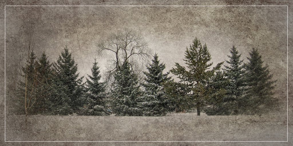 Зимняя, заунывная...