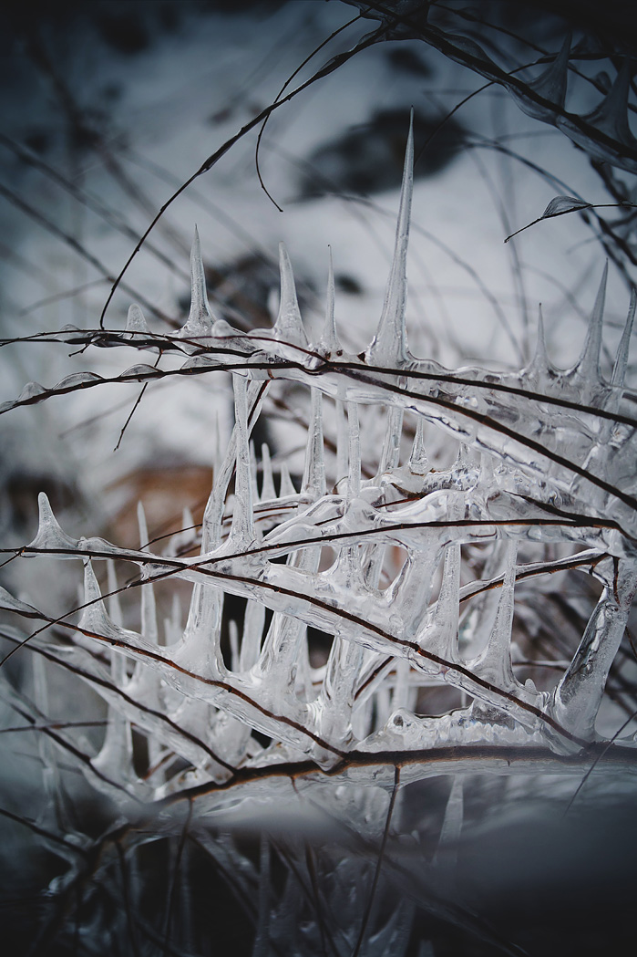 Весенняя шипучесть :)