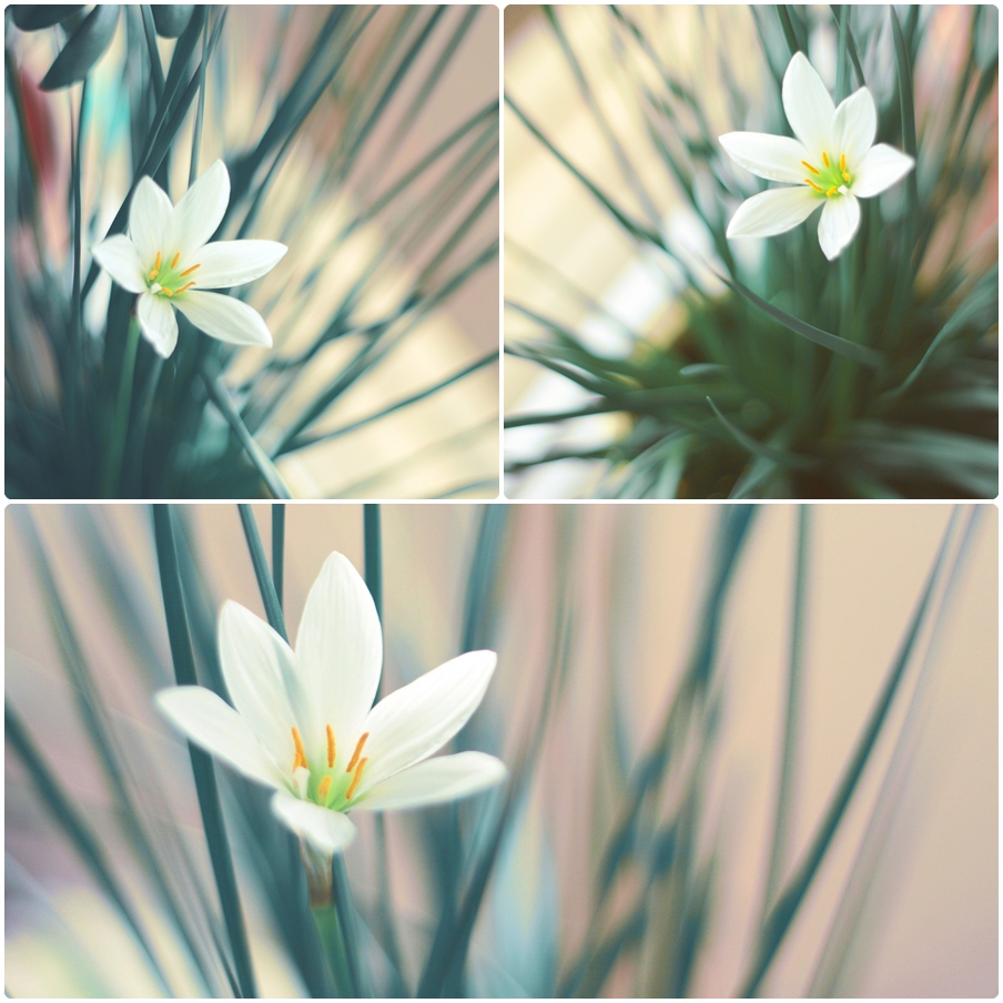 пришла пора)