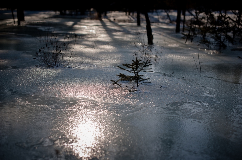 На закате..во льду..