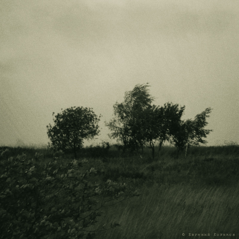 Летний вечер