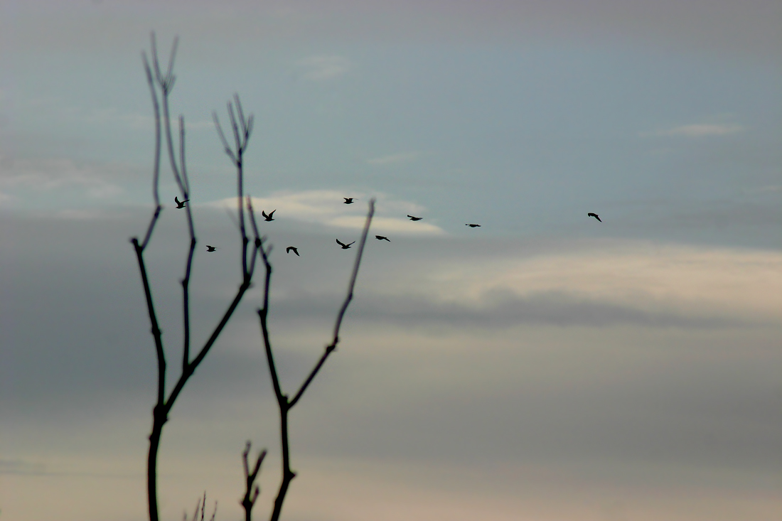 Уж небо осенью дышало...