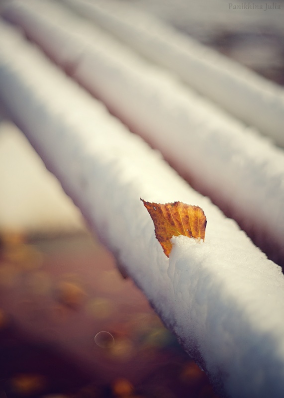 Зимняя осень