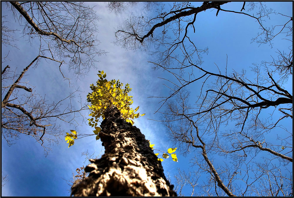 Последняя крепость...