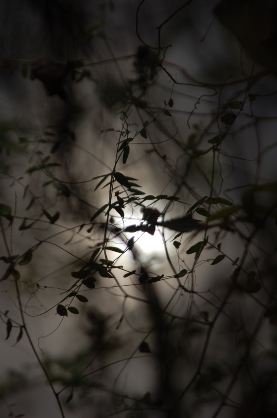 это наш с тобой секрет...