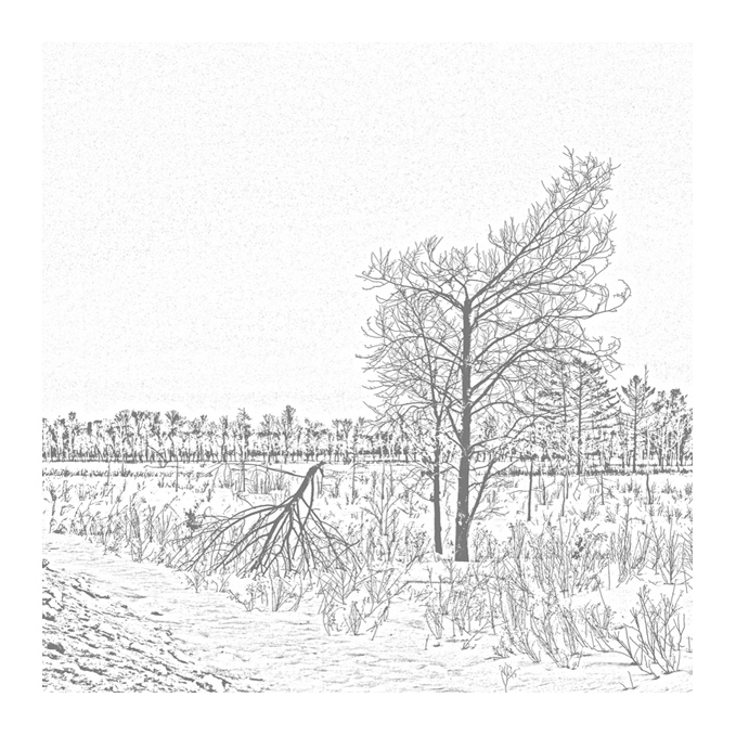 выписной эпикриз