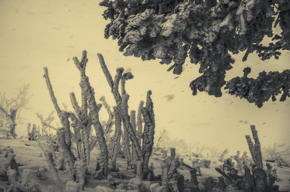 "Непогода застала врасплох"