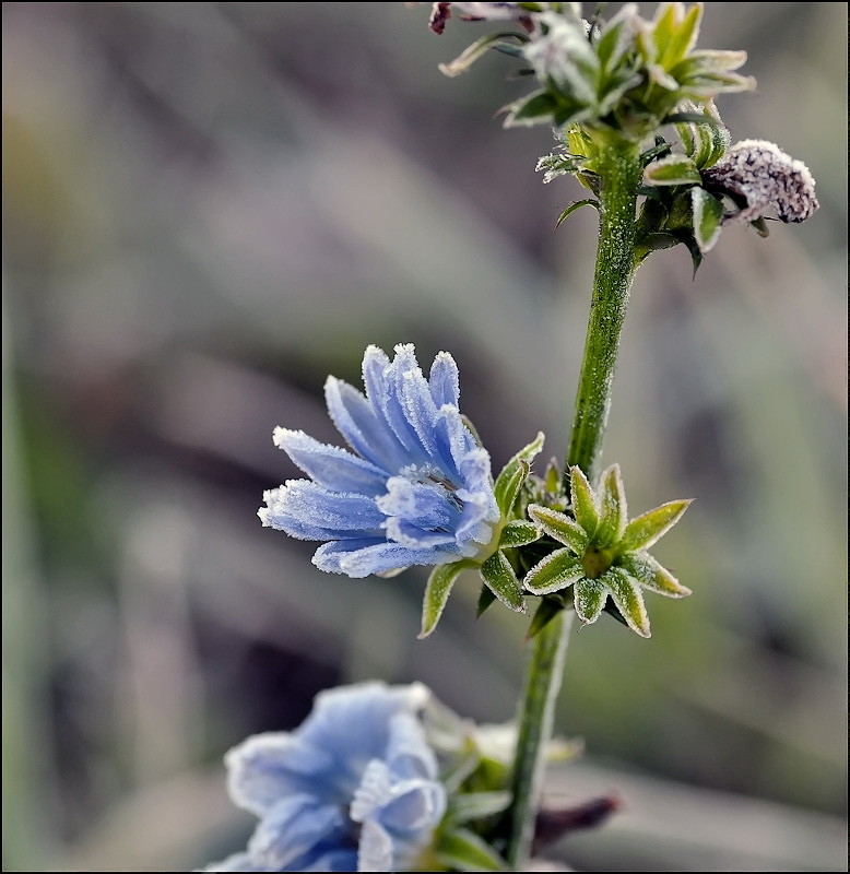 фОТОГЕНИЧНОСТЬ...