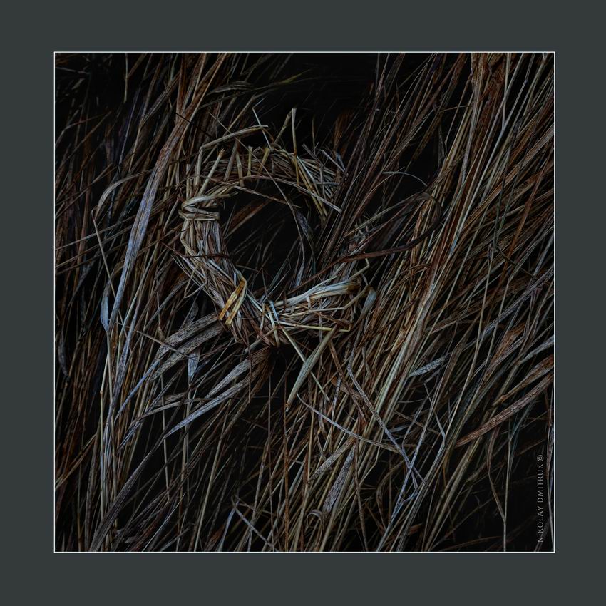 гербарий 5. 2015