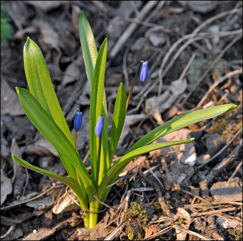 Трое в лодке + лето...