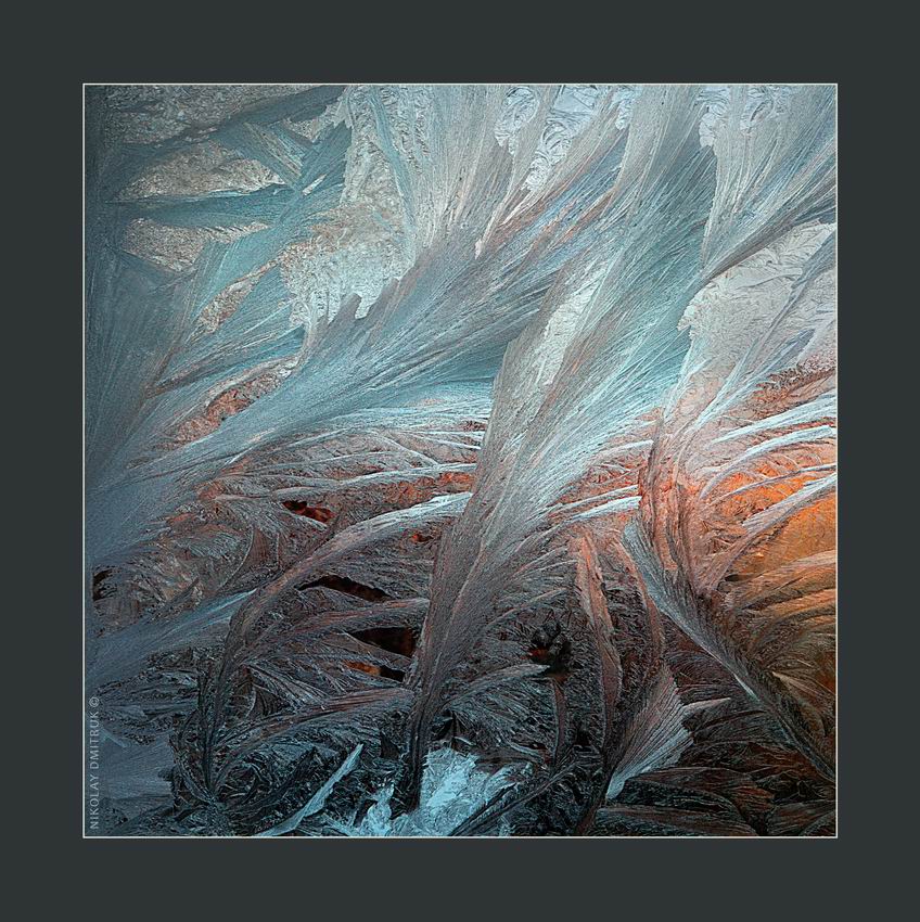 Хвилі Амура. 2016