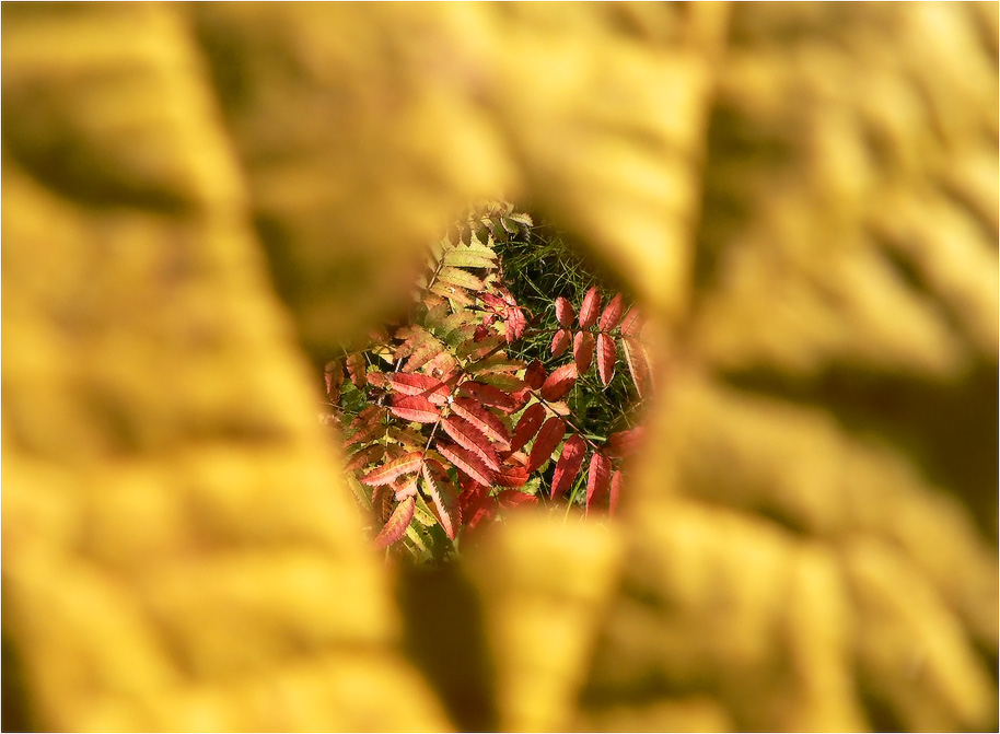 Взгляд на осень