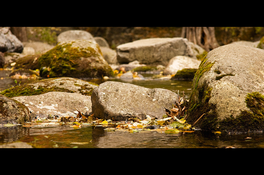 Мне кажется, что камни говорят…