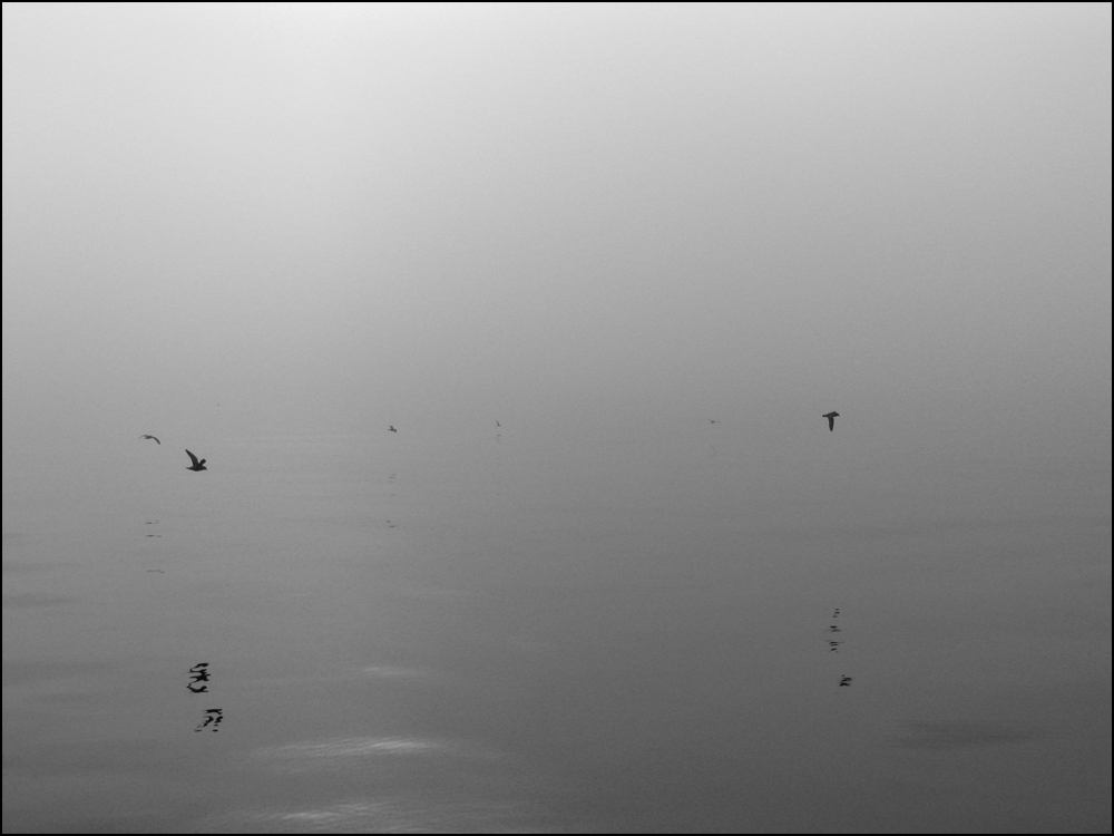 Невесомость