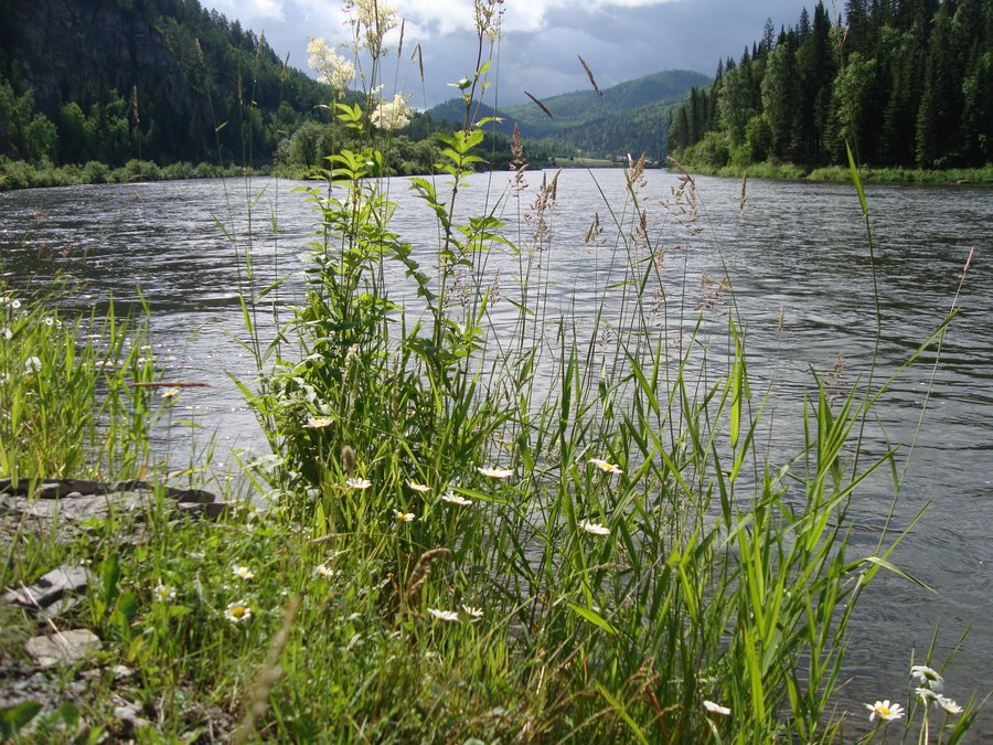 Сибирь. р.Мана.