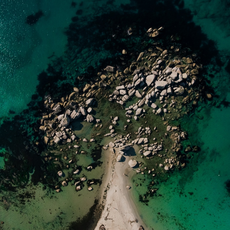 Дерево Лета!