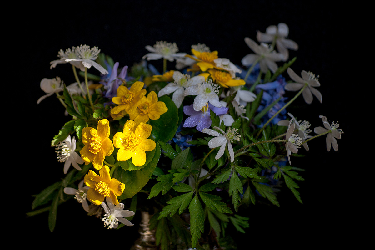 букет весны