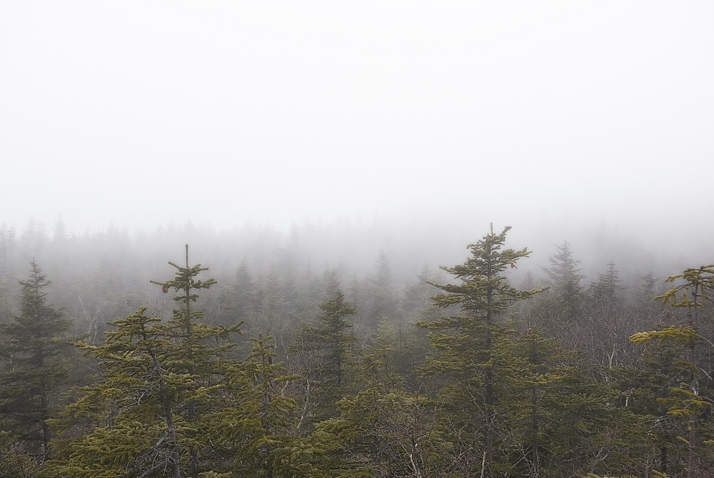 на Ольховой