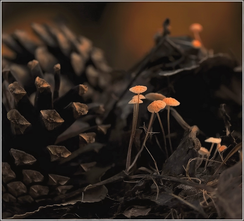 Лёгкая тишина...