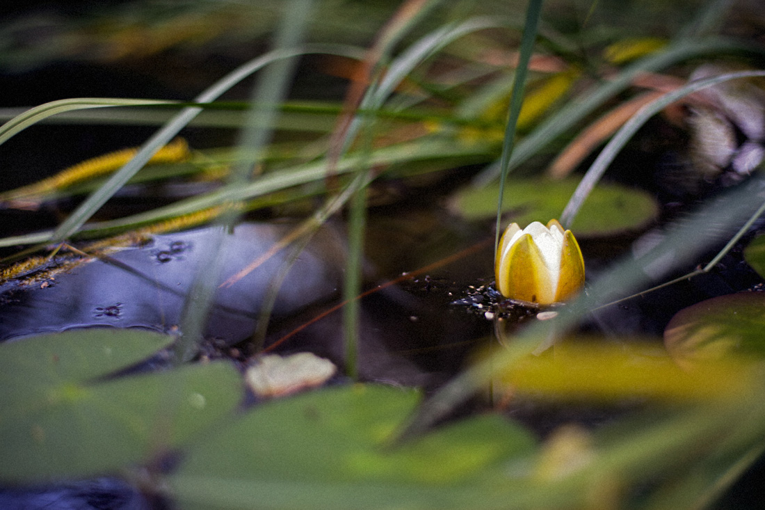 Началу новой жизни посвящается...