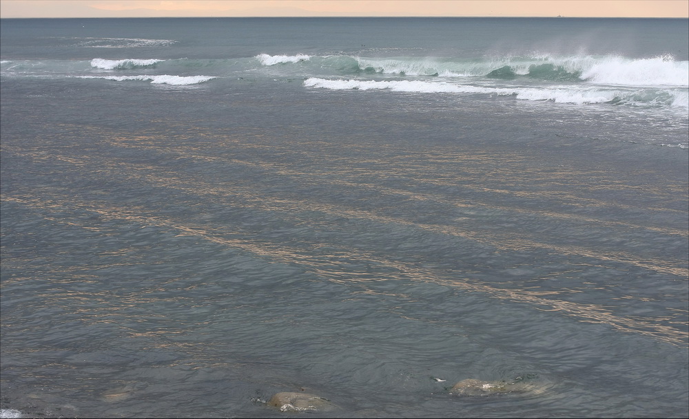 Сияние морское