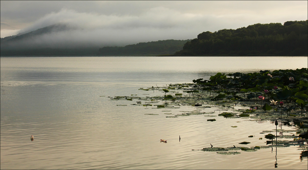 Озеро, утро