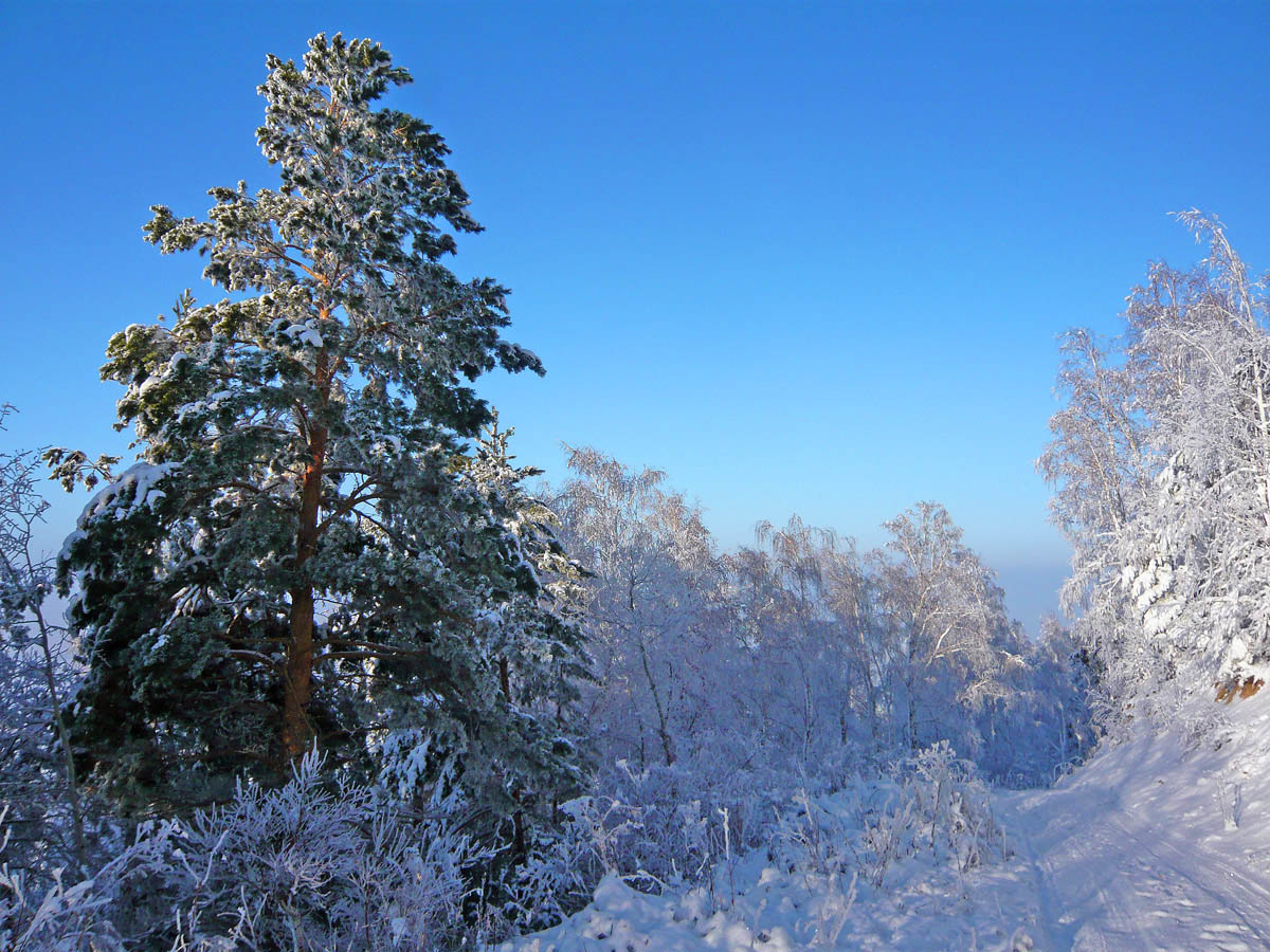 Ранний снег