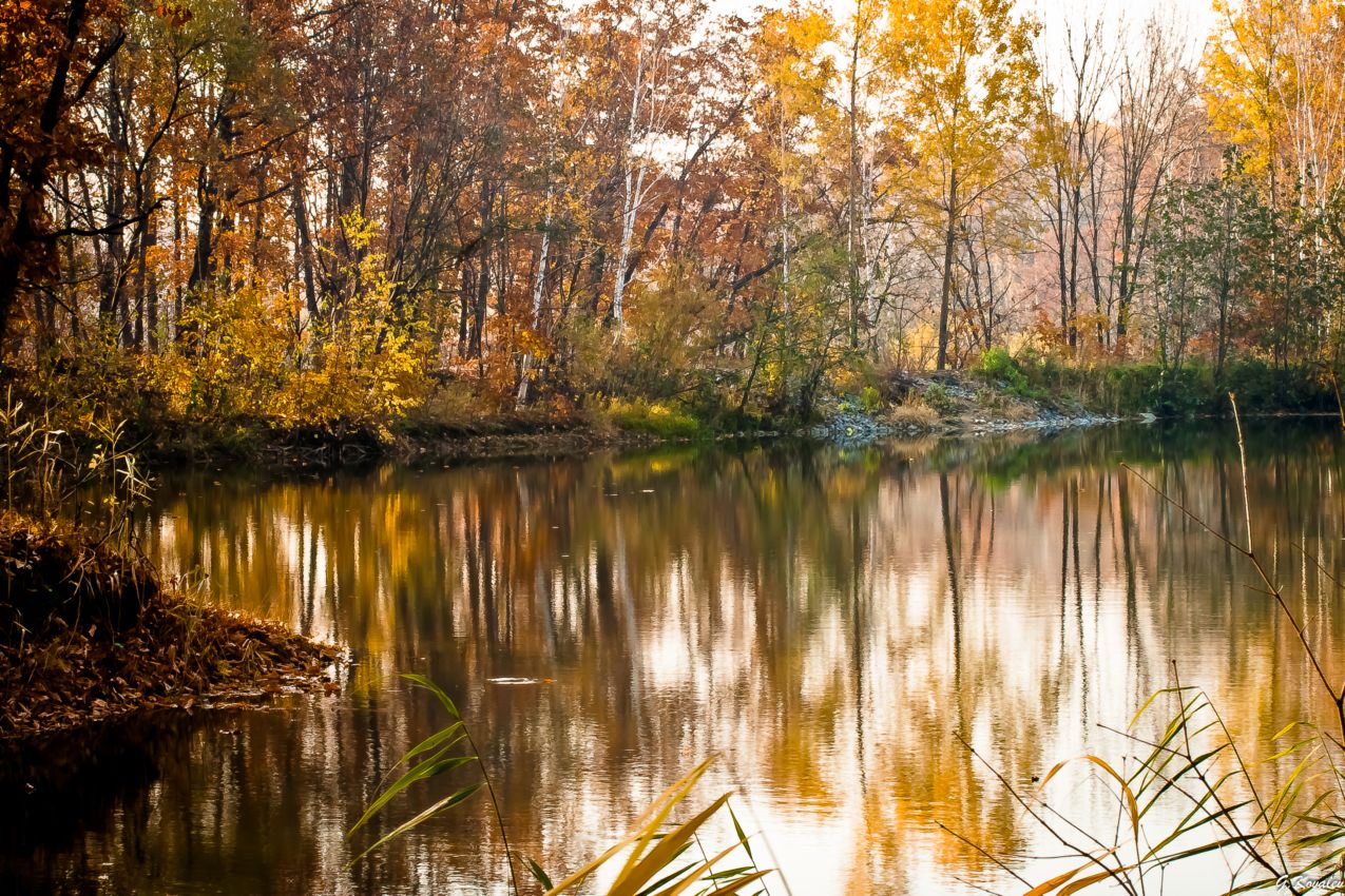 В объятиях осени...