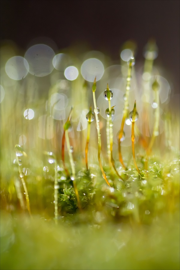 На другой планете