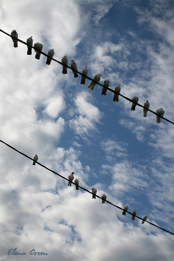 Небесные ноты