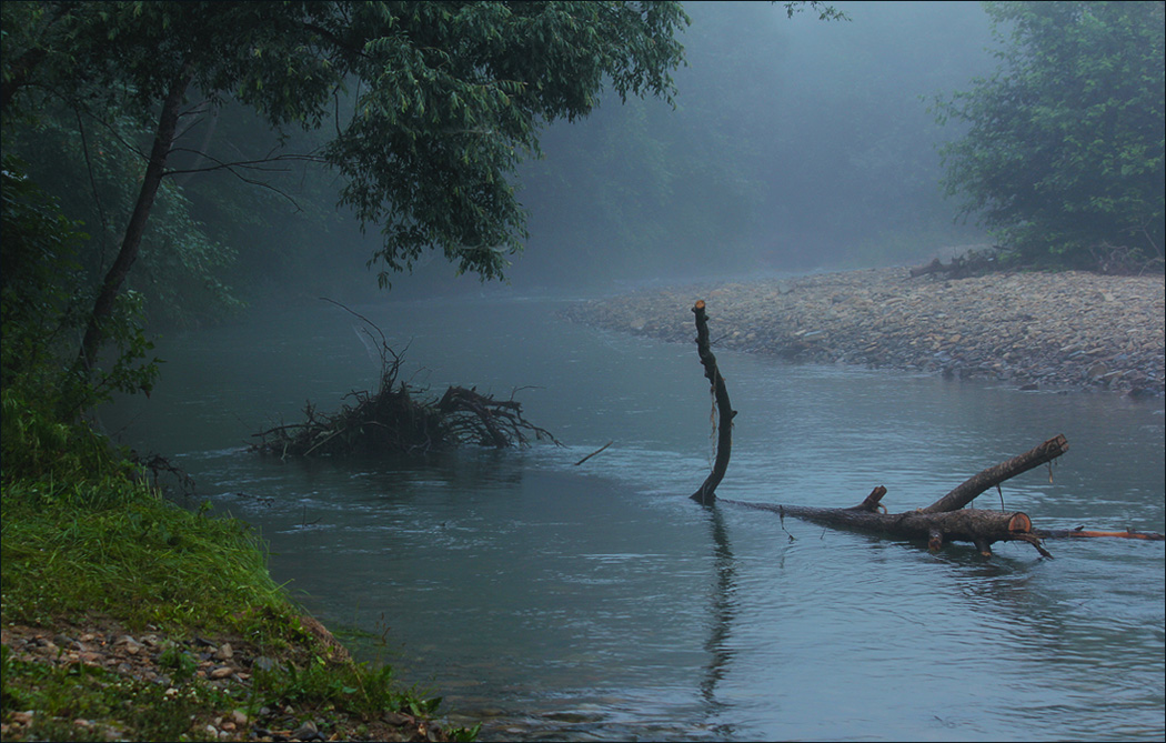 Утро в паутинках
