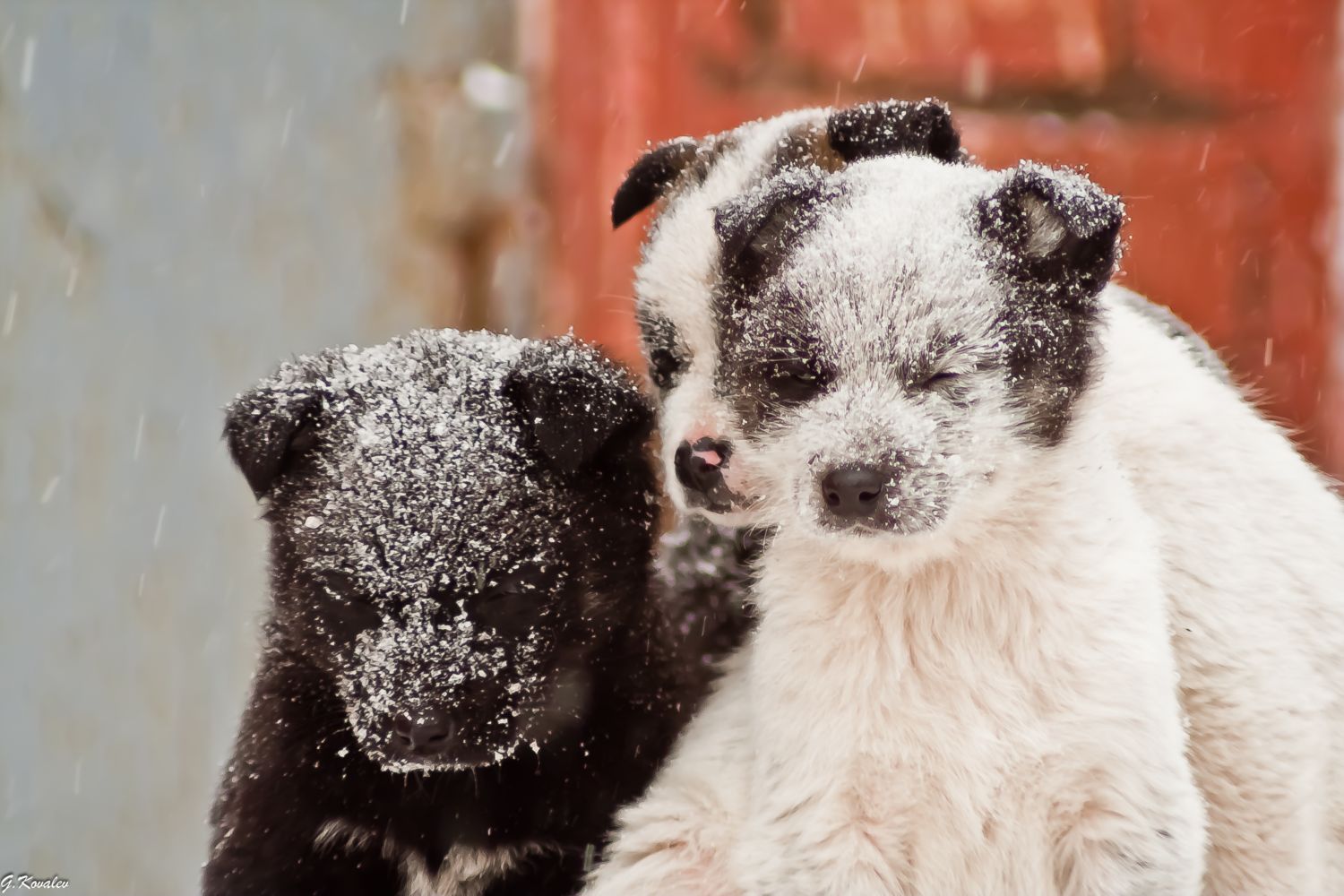 Непокорные стихии...