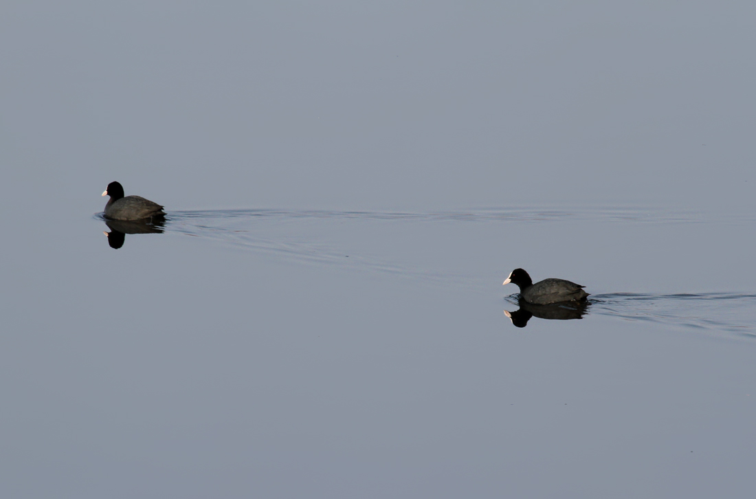 Зеркальное утро