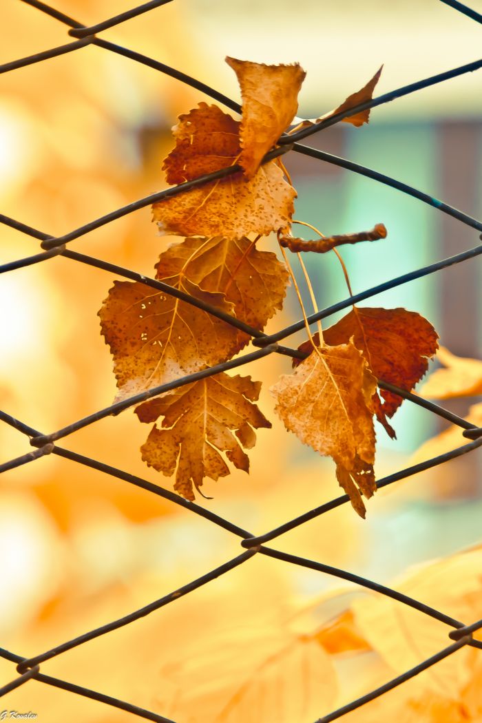 В заточении...